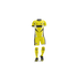 AFC North West GK kit